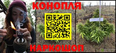 сатива Каменск-Шахтинский