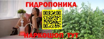 сатива Каменск-Шахтинский