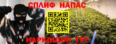сатива Каменск-Шахтинский