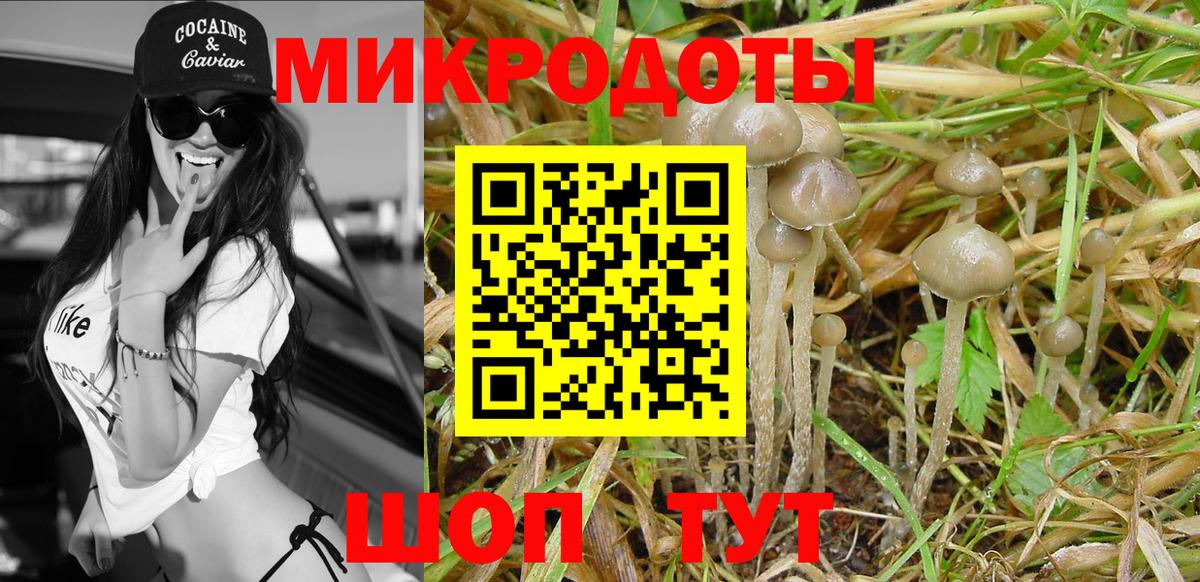 Псилоцибиновые грибы ЛСД Муром