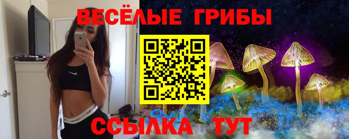 Псилоцибиновые грибы прущие грибы  Вход с VPN  Псилоцибиновые грибы GOLDEN TEACHER  цена наркотик  Муром 
